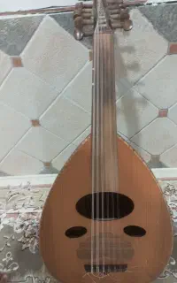 عود حرفه ای