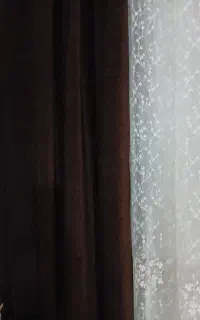 دو عدد شنل پرده قهوه ای