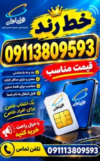 09113809593