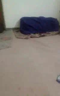 کیسه خواب کوهنوردی برافروش گذاشتم