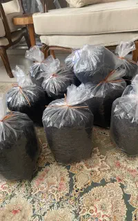 چای قلم درجه یک
