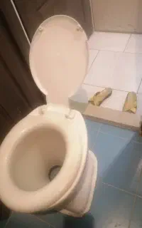 تخت دونفره کارکرده وتشک دونفره وتوالت فرنگی