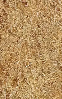 درجه یک