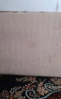 ۶ عدد پشتی