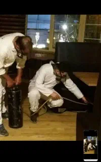 سم پاشی اصولی موریانه با ضمانت سمپاشی ساس سوسک