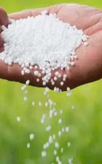 کود شیمیایی اوره