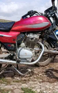 متور سی جی ال