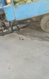سه چرخه مدل88