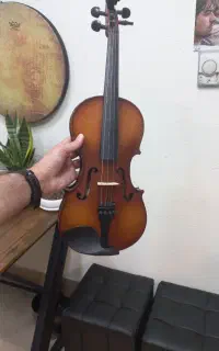 ویولن حرفه ای SV-100