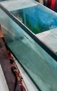 اکواریوم