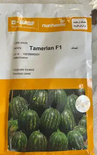 بذر هندوانه rlan F1 هر پاکت ۱۰۰۰ عددی