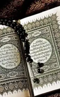 استخاره فقط نفری 50