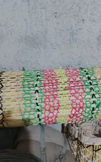 چیت