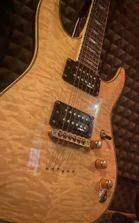 Schecter Omen Extreme6 Gloss Natural-گیتار الکتریک