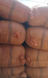یونجه برای فروش