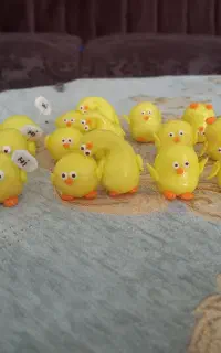 روداشبوردی