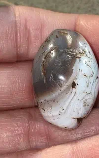 مهره اصل