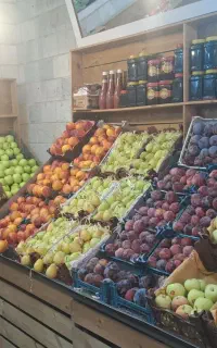 میوه فروشی شراکتی