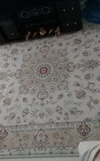 فرش ۵۰۰ شانه شش متری