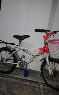 دوچرخه