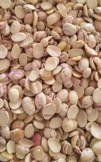 لوبیا لپه چیتی