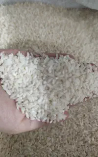 برنج نیم دانه درجه یک