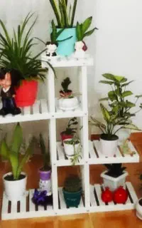 اسندگل سالم وتمیز رنگ سفیدوقهوه ای موجوده