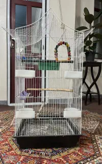 قفس طرح سلطنتی