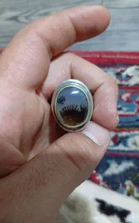 باسلام شجر رکاب دست جون دار برکه شجربازباشی میدونی