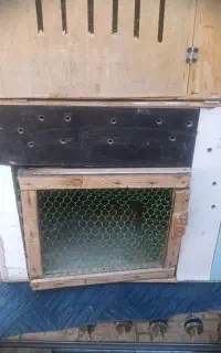 جفت کن کبوتر