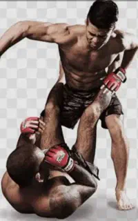 کامبت جوجیتسو (mma)