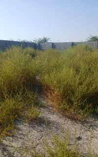 کارگر ساده نیازمندم