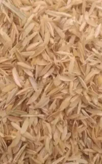 پوسته برنج (فل)