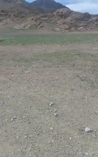 نیازمندچوپان