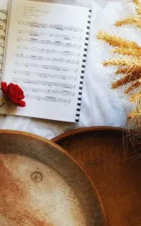 آموزش دف بانوان