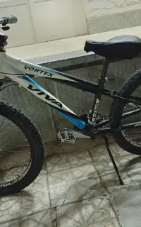 دوچرخه ویوا۲۴ تایوانی
