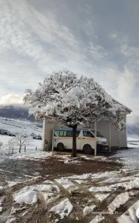 کارگر جهت کار در بهشت رضای نوشهر