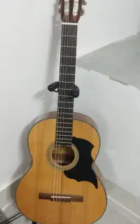 گیتار خارجی استاندارد