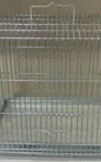 معاوضه قفس سایز ۲سهره