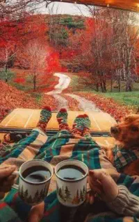 راهنمایی برای پیدا کردن یه هم خانه