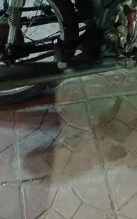 اگزوز سالم