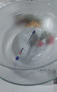 ظروف
