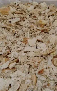 نون خشکه دامی
