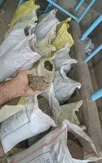 کود مرغ