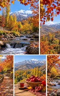 پنجشنبه تور شاد و گروهی مارشک(کارکنان،بازنشستگان)