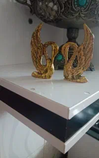 قوی برنززیبا