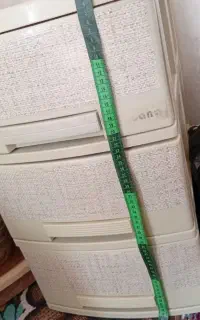 همگی مفت