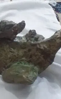 سلام مجسمه سنگی حیوانی که منقرض شده