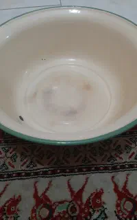 لگن لعابی