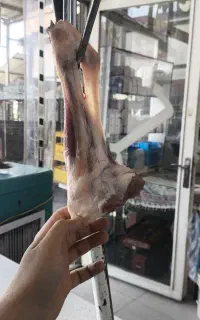 ماهیچه گوسفندی تازه